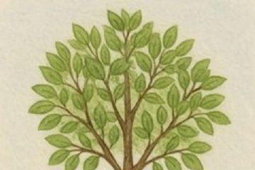 Progetto &quot;Adotta un&#39;aiuola&quot;